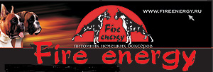 Boxerkennel Fire Energy